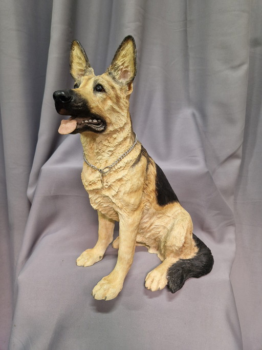 Fireside shepherd dog