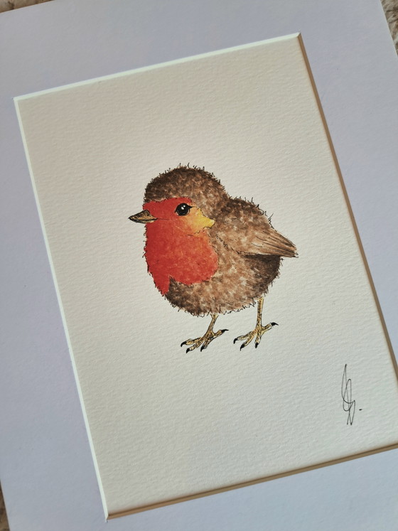 Original Robin Watercolor Painting | Including Frame – Paintings & Drawings, Paper (photo 5 of 5)