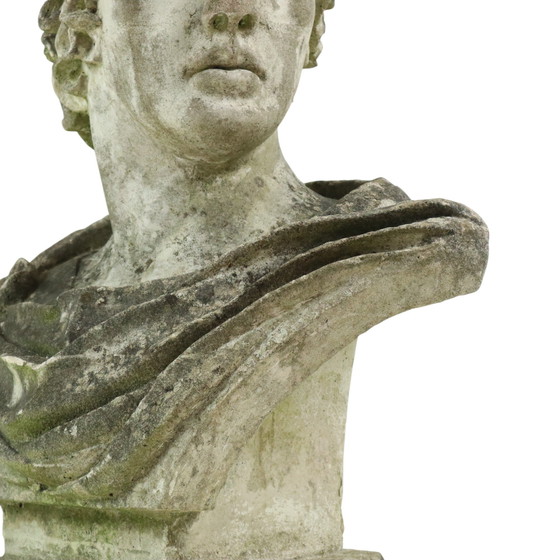 Image 1 of Large Apollo Bust Garden Statue