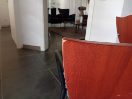 Sillas Borek Sipek Dalami – Sillas de comedor, Leather, Metal (photo 9 of 12)
