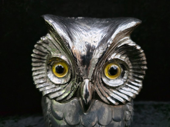 Image 1 of Freddotherm uil ijsemmer - Hans Turnwald