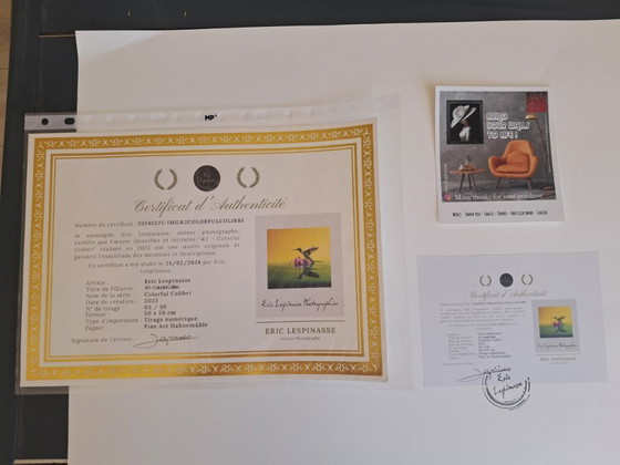 Image 1 of Eric LESPINASSES - Colorful Hummingbird - Artist's Lithograph