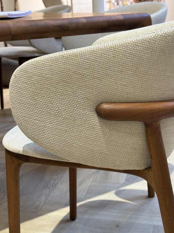 Image 1 of Sillas de comedor Artisan Mela - Nogal europeo