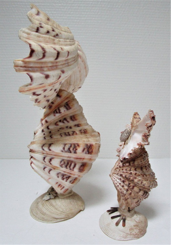 Image 1 of due gufi scultura vintage in conchiglia