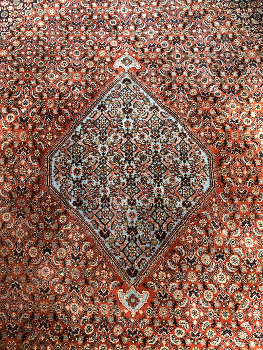 Bidjar Extra Persian rug 329X220