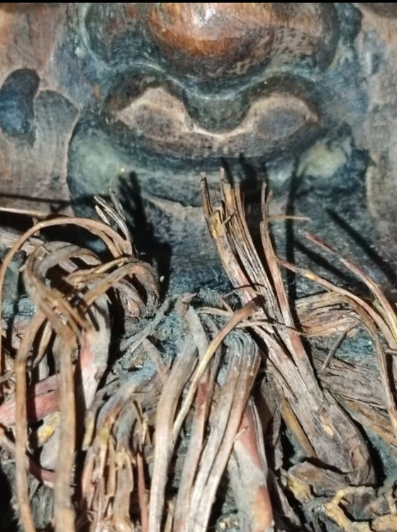 Image 1 of Chinees masker