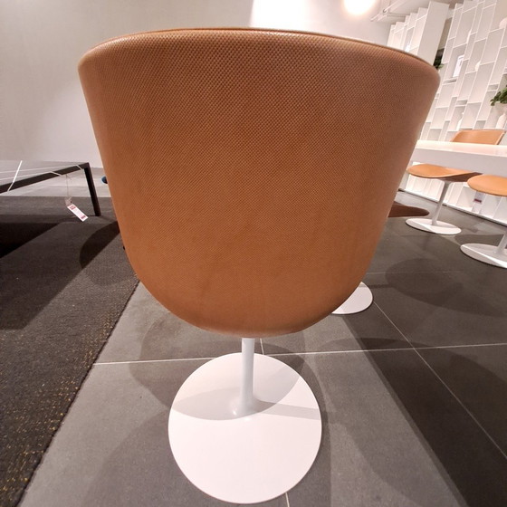 Image 1 of MDF Italia Flow Chair dining chair (set of 4)