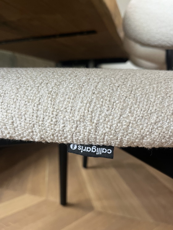 Image 1 of 6 sedie Calligaris Oleandro