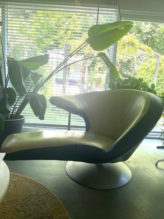 Leolux parabolica fauteuil – Leather, Metal (photo 6 of 7)