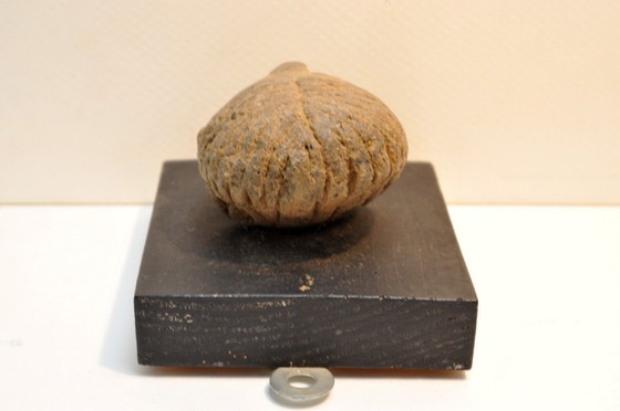 Image 1 of Präkolumbianische Keramikfigur