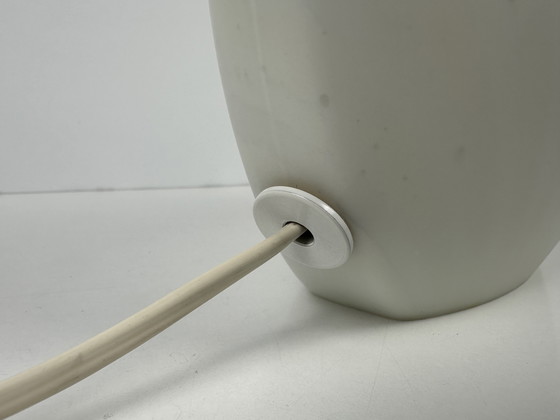 Image 1 of Peill & Putzler zebra shell tafellamp