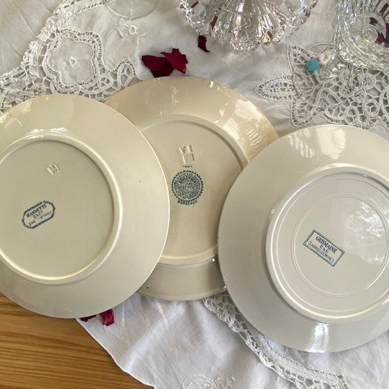 Image 1 of Set of 6 mismatched ironstone dinner plates, antique Sarreguemines earthenware, Choisy le Roi Boulanger