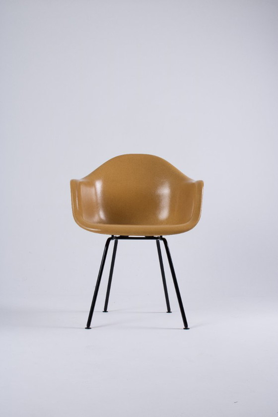Image 1 of Paire de DAX Eames en fibre de verre – Light Ocre – Herman Miller / Vitra – circa 1965-1975