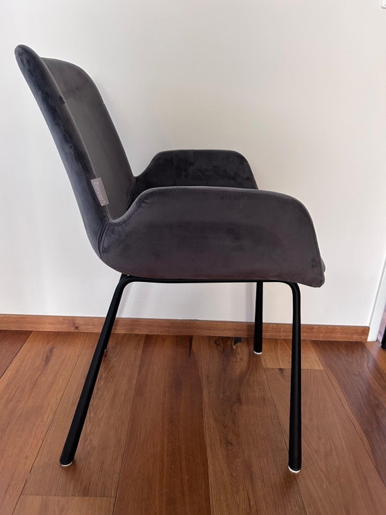 Zuiver Armchair Grey (British) 2 X – Metal, Velvet (photo 4 of 6)