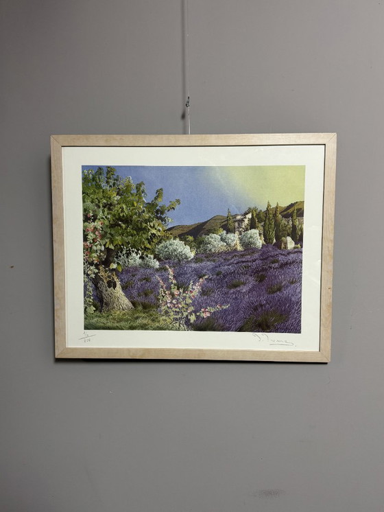 Image 1 of 'Campi di lavanda in Provenza' di D. Broussie, serigrafia, Francia, fine del XX secolo