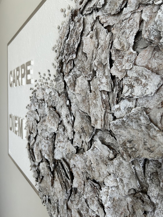 Image 1 of Pintura / arte Carpe Diem de River