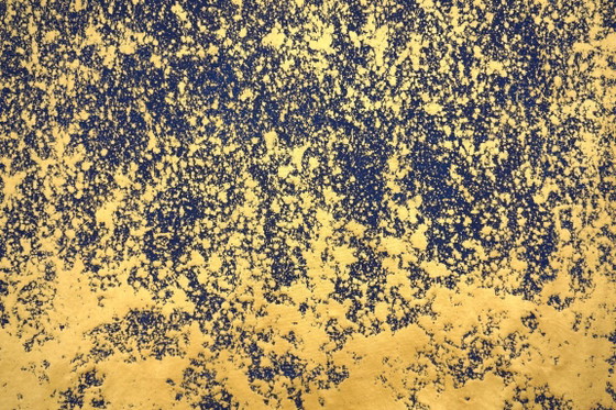 Image 1 of Jürgen Angeler - Tamiz de oro
