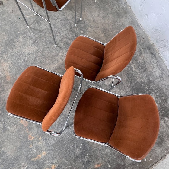 Image 1 of Dodo Chair - Hungarian Mid-Century Design, 1960s