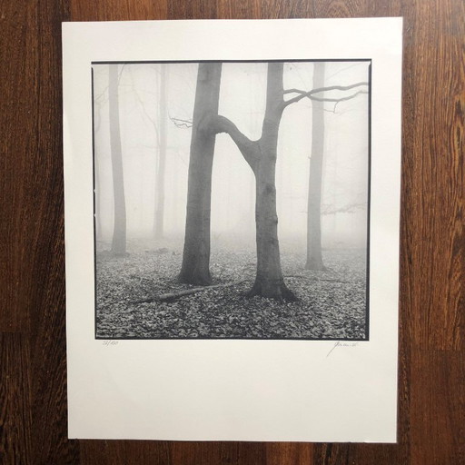 Stampa fotografica firmata Ralph Janowski 38/100