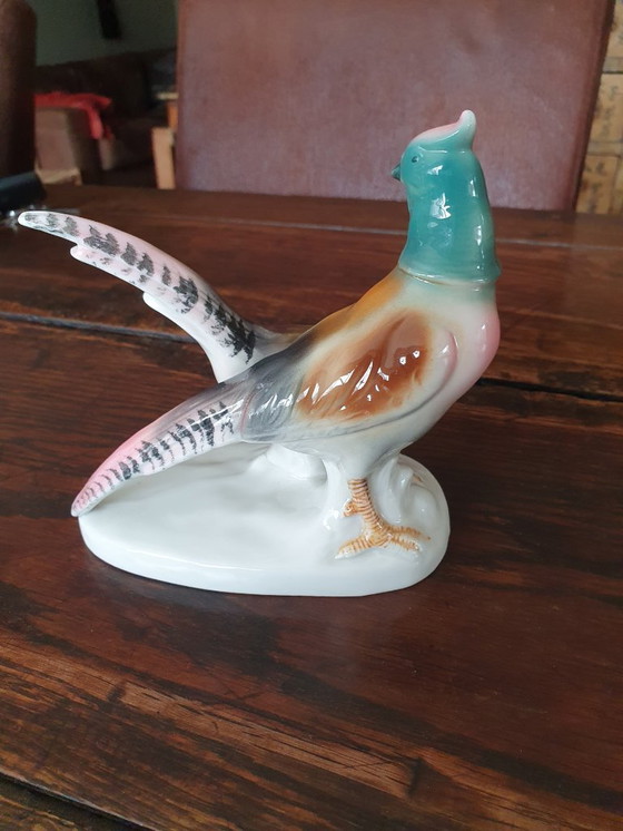 Image 1 of Porcelain pheasant figurine Carl Scheidig Gräfenthal model 8136