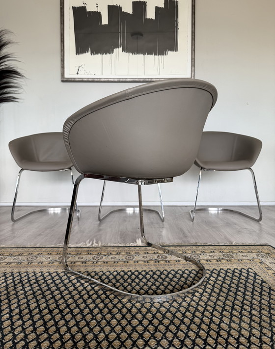 Image 1 of 4x Chaise Arper Duna Design by Lievore Altherr Molina, ca2014