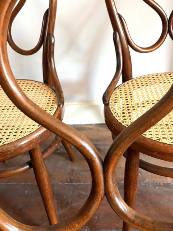 Image 1 of Seltene antike Thonet „Omega“ Modell 20, 5x Esszimmerstuhl aus Bugholz und Gurtband