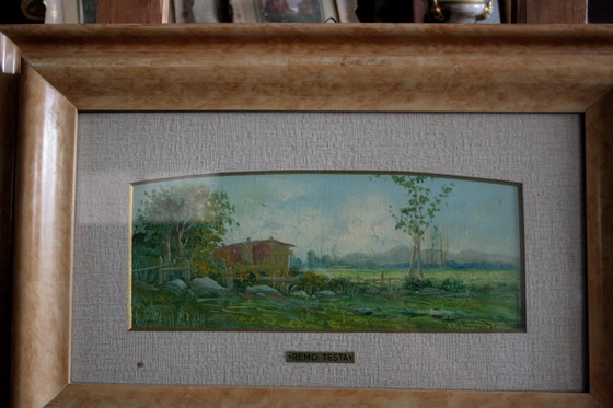 Image 1 of Remo Testa, paire de paysages, marine et campagne, milieu du 20e siècle, Italie