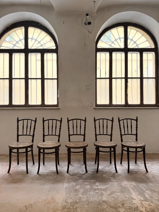Thonet chairs, set of 5