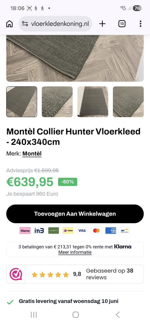 Montel Collier design Hunter rug!