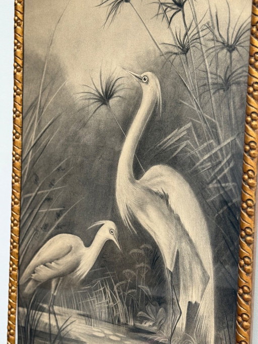 Naturalist charcoal drawing from the early 20th century