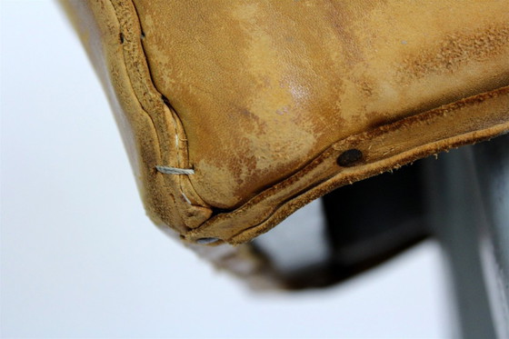 Image 1 of Cavallo da Ginnastica vintage in pelle con trampolino, anni '60, set di 2