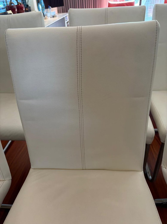 6x Leren Eetkamerstoel, Model Vivola – Sanders, Eetkamerstoelen, Leather, Metal (photo 5 of 6)