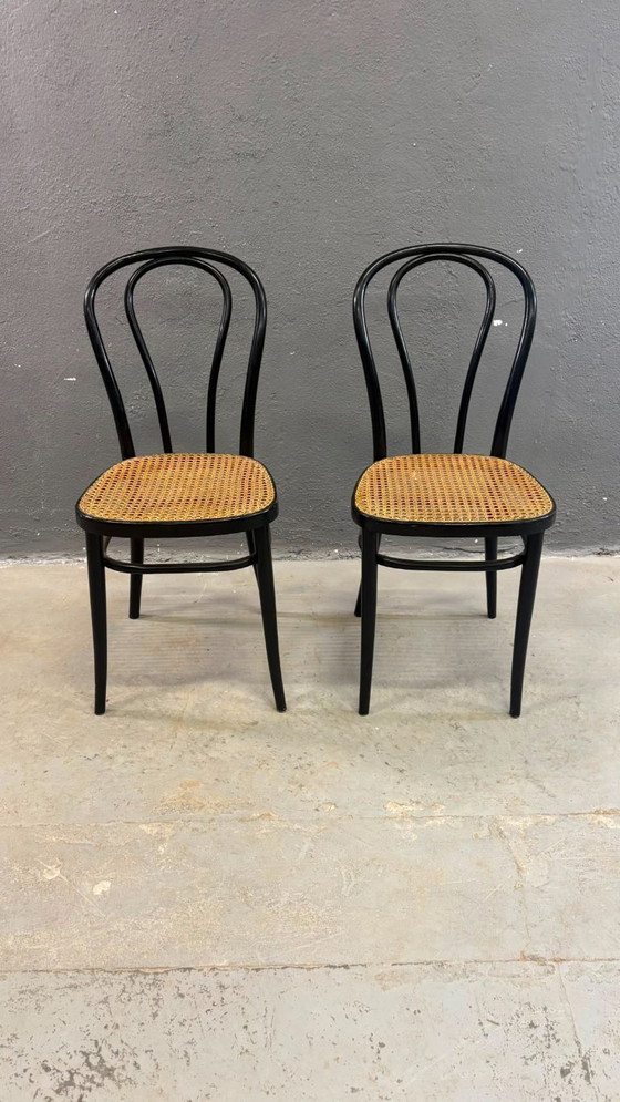 Image 1 of Een paar gebogen houten stoelen, met Weense rieten zittingen, jaren 60, Polen