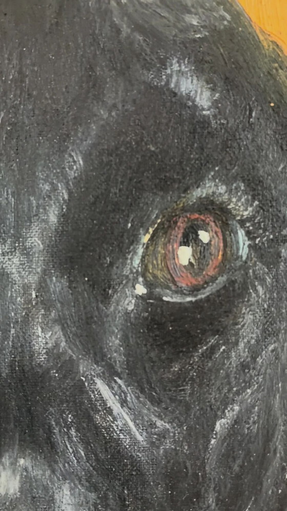 Vintage original dog portrait oil paintings set – Paintings & Drawings, Wood, Canvas (photo 6 of 21)