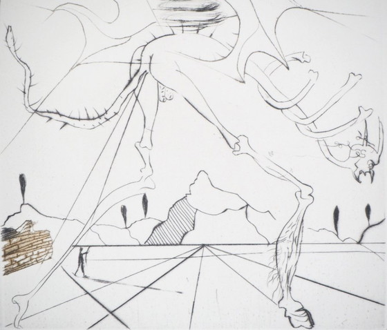Salvador Dalí: Shakespeare: Enrico VI, incisione originale firmata – Stampe artistiche, Paper (photo 4 of 8)