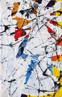 Jürgen Angeler - Cane spaziale 3D
