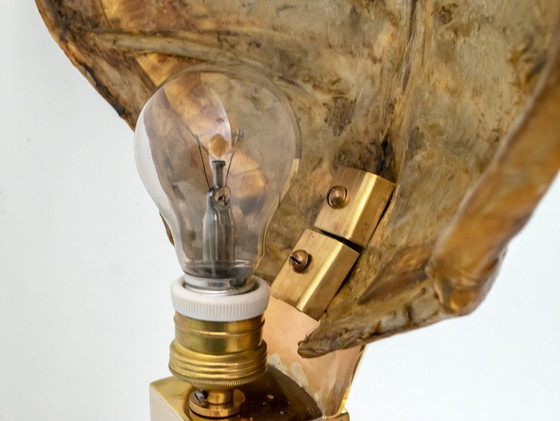 Image 1 of Lampada da tavolo in ottone e guscio di tartaruga, attribuita a Willy Daro