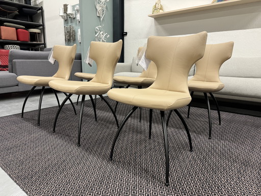 6 Nouveau Leolux Callas chaise de salle à manger Ceras Shell cuir