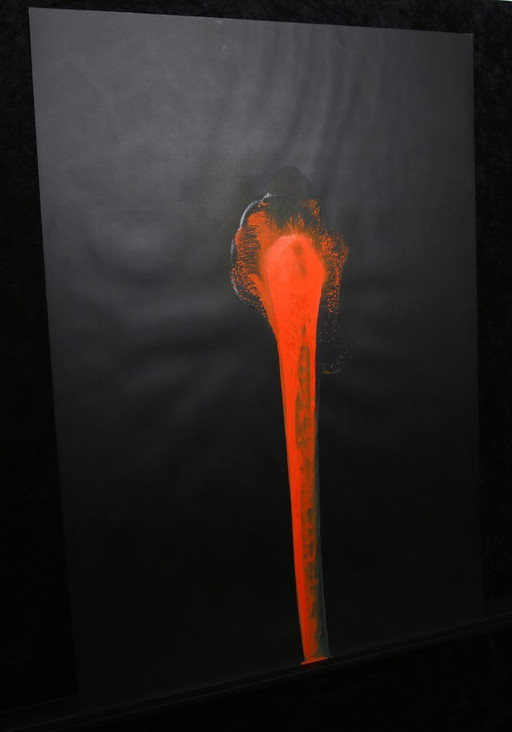 Piene, Otto - New flower, 1973 - Color silkscreen - signed by hand