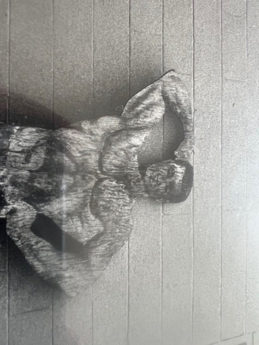Photo Howards Gym, USA 1976, Toon Michiels