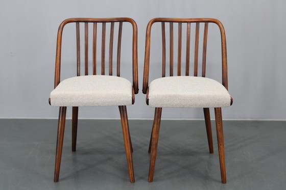 Image 1 of 1960 Antonin Suman Ensemble de six chaises de salle à manger en hêtre, restaurées