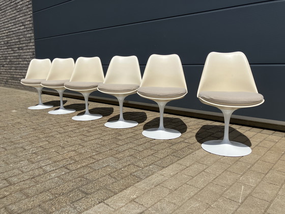 Image 1 of Tavolo ovale Knoll Tulip originale e 6 sedie Knoll Tulip in ottime condizioni!