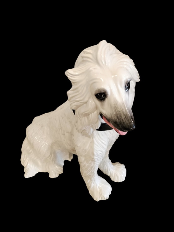 Image 1 of Statuette vintage XL en céramique, lévrier afghan, d'Italie