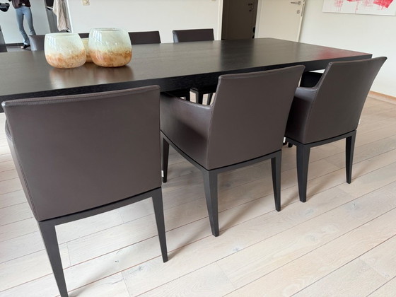 Design Chairs, Potocco Italy (6 Pieces) – Dining chairs, Wood, Leather (photo 4 of 5)