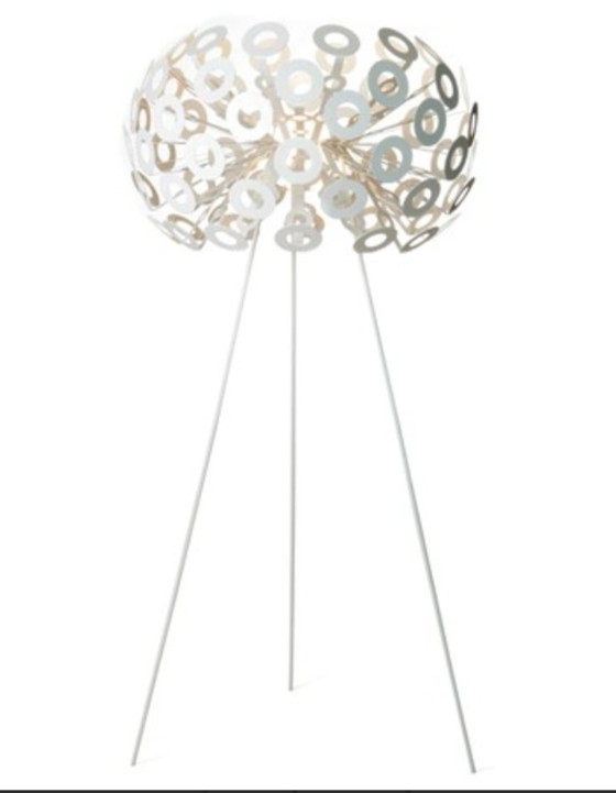 Image 1 of 4 lampade da terra Moooi a forma di dente di leone
