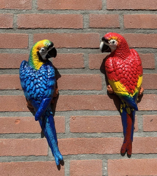 Set di pappagalli colorati – Decorazione da giardino vivace