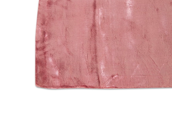 Image 1 of Aurélia Corallo