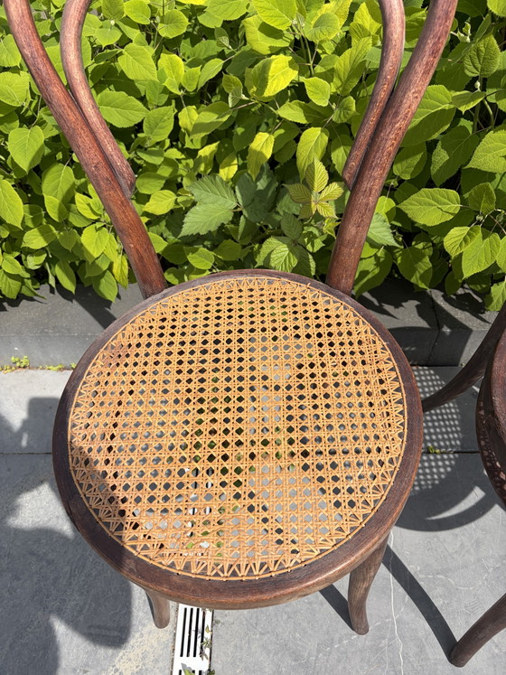 Image 1 of 2 vintage Thonet chairs with webbing seats