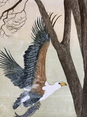 Hilda Bernstein Fish Eagle etching 27/100 signed