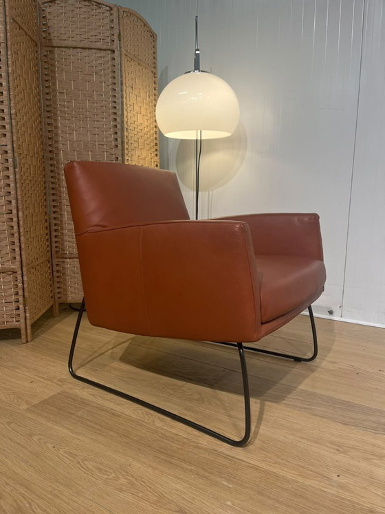 COME NUOVO Design on Stock Tumbler + GARANZIA – Poltrone, Leather (photo 3 of 9)